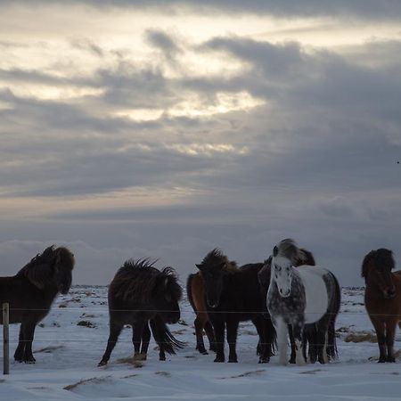 Myri - Studio Lodge Selfoss Bagian luar foto