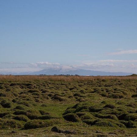 Myri - Studio Lodge Selfoss Bagian luar foto