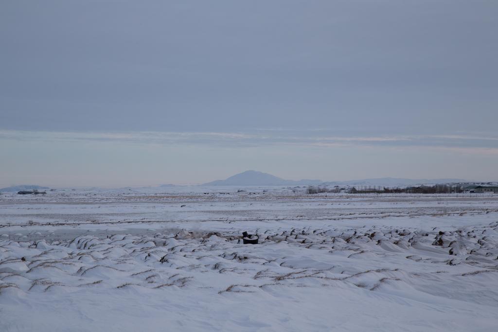 Myri - Studio Lodge Selfoss Bagian luar foto