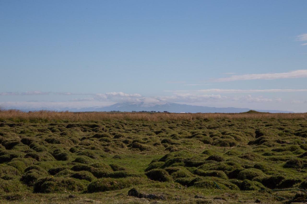 Myri - Studio Lodge Selfoss Bagian luar foto